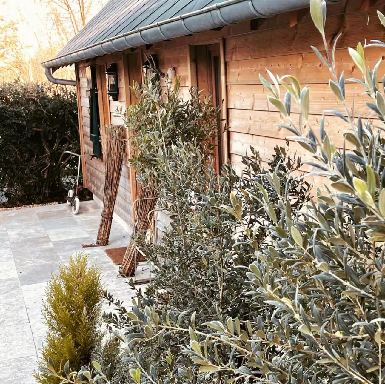 Cottage Normand Avec Sa Grande Piscine Chauffee Toute L Annee Sur Parc Arbore Et Clos En Plein Coeur De La Campagne Adapte Aux Kids Et Dog Friendly Saint-Antonin-de-Sommaire Zewnętrze zdjęcie